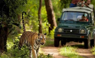 online-safari-ride-booking-in-jim-corbett-national-park online-safari-ride-booking-in-jim-corbett-national-park